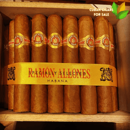 Ramon Allones Specially Selected 1