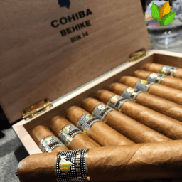 Cohiba Exquisitos 1