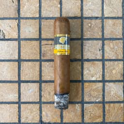 Cohiba Robusto 3
