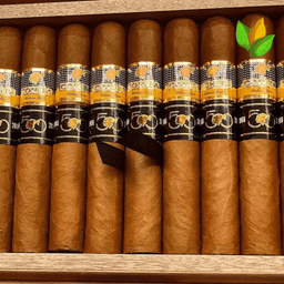 Cohiba Majestuosos 1966 4