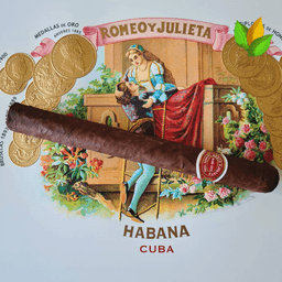 Romeo y Julieta Capuletos EL 2016 2
