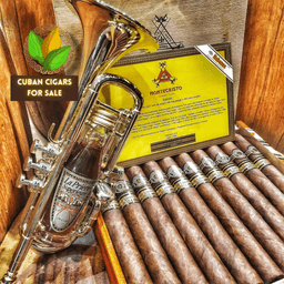 Montecristo Dantes Limited Edition 2016 5