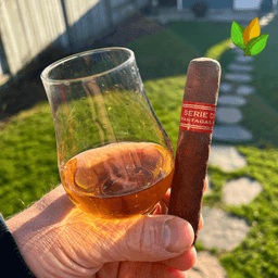 Partagas Serie D No. 5 3