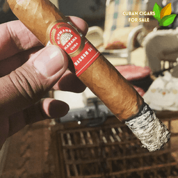 H Upmann Magnum 56 5