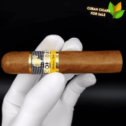 Cohiba Medio Siglo 5