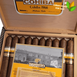 Cohiba 1966 Cabinet 3