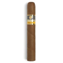 Cohiba Siglo VI 2