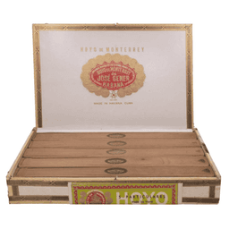 Hoyo de Monterrey Particulares 1