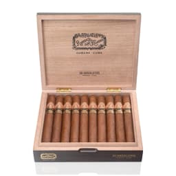 Ramon Allones Absolutos (2024 Limited Edition) 2