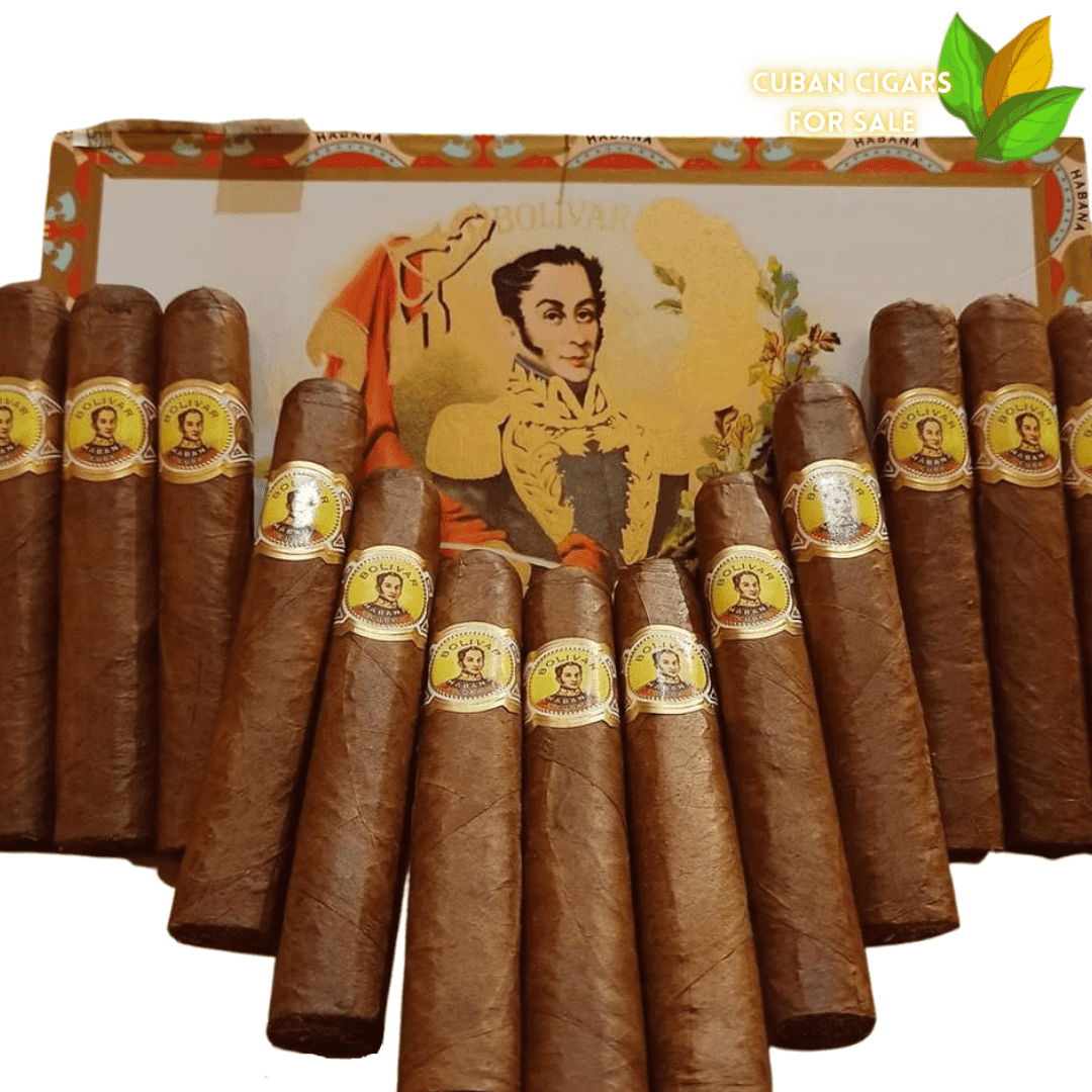 Bolivar Royal Corona