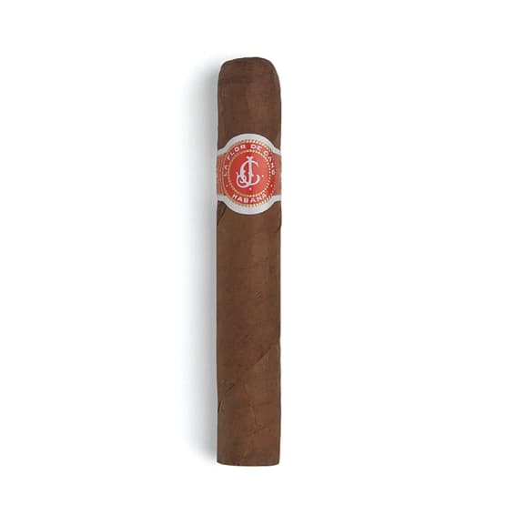 La Flor de Cano Elegidos