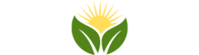 Cuban Cigars For Sale