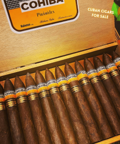 Cohiba Piramides limited edition 2001