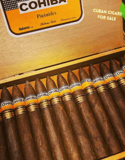 Cohiba Piramides limited edition 2001 Cuban Cigar - Image 1