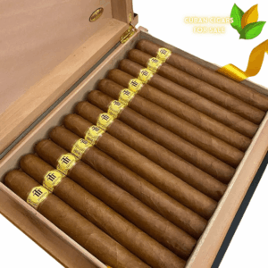 Trinidad Robusto Extra - High Resolution