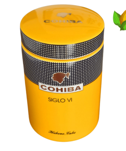 Cohiba Siglo VI Ceramic Jar - Cohiba Siglo VI Ceramic Jar