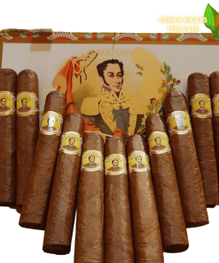 Bolivar Royal Corona - Bolivar Royal Corona