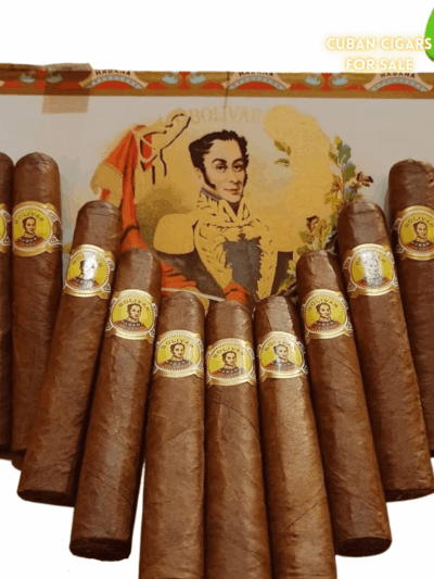 Bolivar Royal Corona - High Resolution