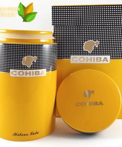 Ceramic Jar Cohiba Piramides EXTRA