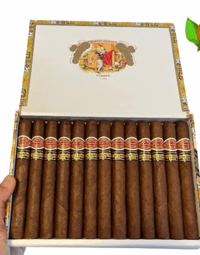 Romeo y Julieta Capuletos EL 2016 - High Resolution