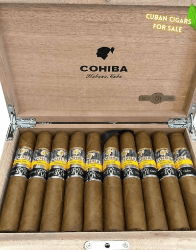 Cohiba Siglo 6 Gran Reserva 2003 - High Resolution