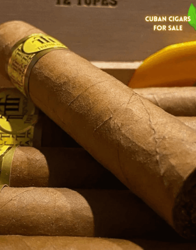 Trinidad Robusto Extra Cuban Cigar - Image 1