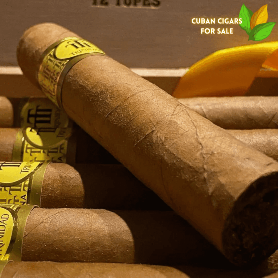Trinidad Robusto Extra Cuban Cigar - Image 1