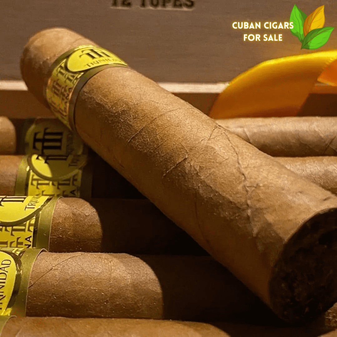 Trinidad Robusto Extra Cuban Cigar - Image 1