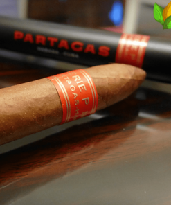 Partagas Serie P No.2 - Partagas Serie P No.2