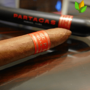 Partagas Serie P No.2 - Partagas Serie P No.2