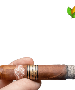 Montecristo Robustos Limited Edition 2006 - 2000 VINTAGE - Montecristo Robustos