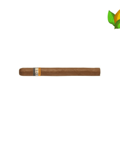 Cohiba Siglo V - Cohiba Siglo V