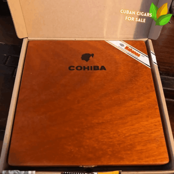 Cohiba Lanceros 25 Cuban Cigars - Detail View