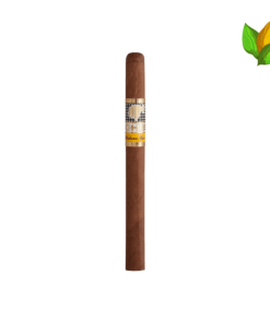 Cohiba Siglo Vl (Tubos) Box of 15 Luxury - Cohiba Siglo Vl (Tubos) Box of 15 Luxury