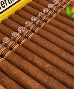 Montecristo Churchill Añejados - Montecristo Churchill Añejados