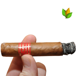 Partagas Serie D No.4 - Partagas Serie D No.4