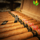 Partagas Lusitanias GR Cosecha 2007 Cuban Cigar - Image 1