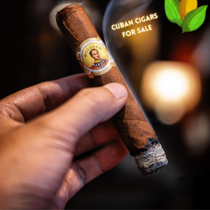 Bolivar Royal Corona - Bolivar Royal Corona