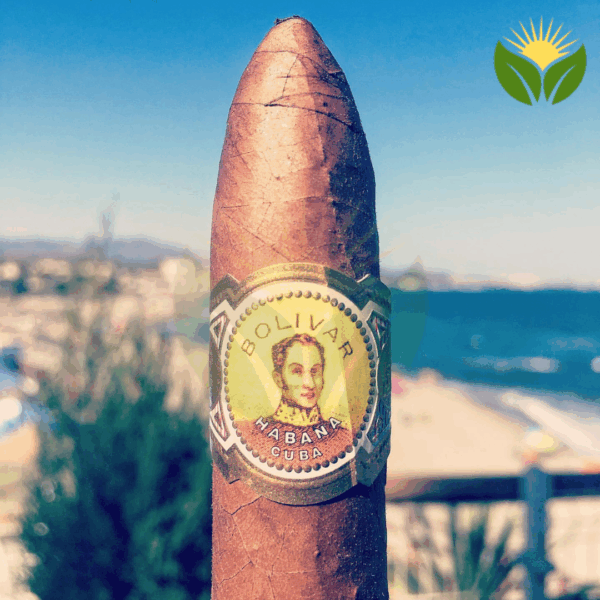 Bolivar Belicosos