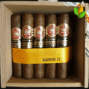 H Upmann Magnum 48 LE 2009 Box View - Authentic Habanos