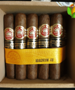 H Upmann Magnum 48 LE 2009 - H Upmann Magnum 48