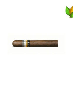 Cohiba Maduros 5 Genios