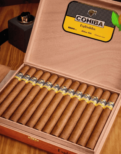Cohiba Esplendidos Cuban Cigar - Image 1