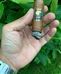 Cohiba Behike 56 Ceramic Jar