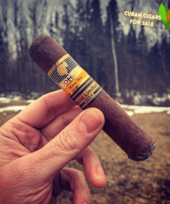 Cohiba Robusto Supremo Edicion Limitada 2014