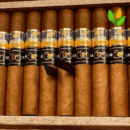 Cohiba Majestuosos 1966 Cigar Close-up - Premium Quality