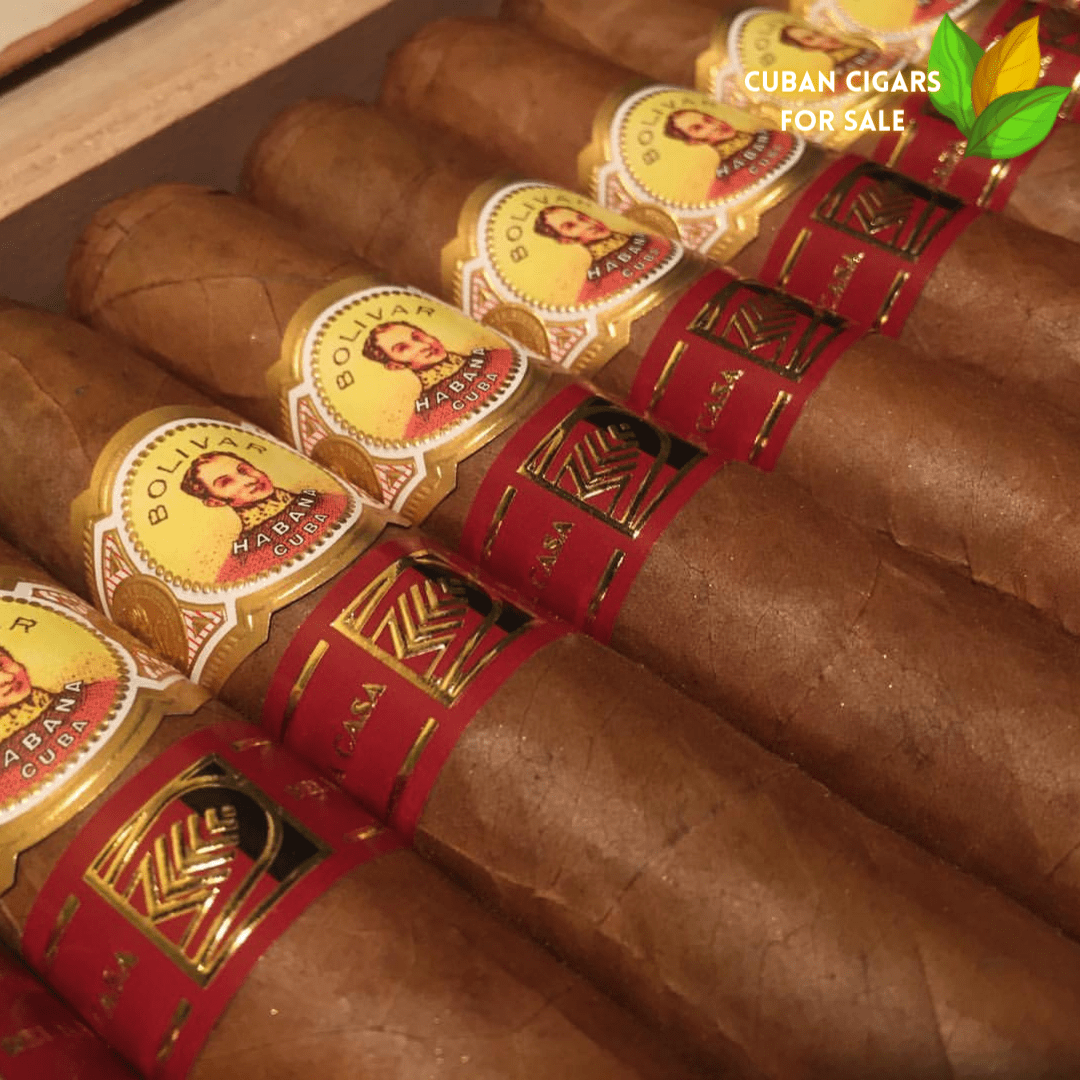 Bolivar Habana Cigars – Authentic Cuban Cigars at Their Finest
