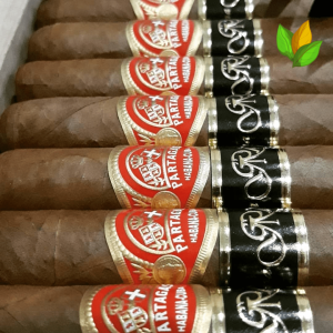 Partagas Lusitanias GR Cosecha 2007 - Partagas Lusitanias GR Cosecha 2007