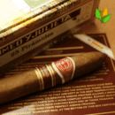 Romeo y Julieta Pirámides Añejados Cigar Close-up - Premium Quality