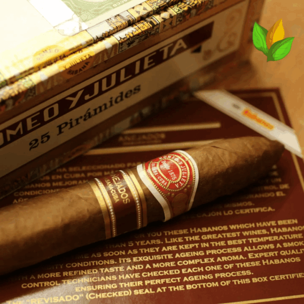 Romeo y Julieta Pirámides Añejados Cigar Close-up - Premium Quality